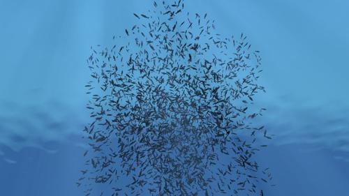 Swarm For Gelida Bird Attack preview image